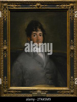 Isidoro Máiquez (1768-1820). Spanish actor. The Actor Isidoro Máiquez, 1807. Portrait by Francisco de Goya y Lucientes (1746-1828). Oil on canvas, 72 x 59 cm. Prado Museum. Madrid. Spain. Stock Photo