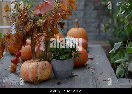 Pumpkins on a wooden table in the garden. Pumpkin and autumn leaves. Autumn themed holiday table setting for party. Halloween decor with orange pumpki Stock Photo