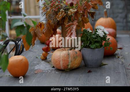 Pumpkin and autumn leaves. Autumn themed holiday table setting for seasonal party. Pumpkins on a wooden table in the garden. Halloween decor with vari Stock Photo