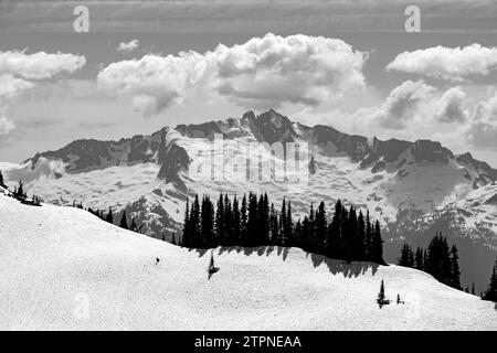 Pristine monochrome vista of British Columbia's rugged peaks and forests Stock Photo