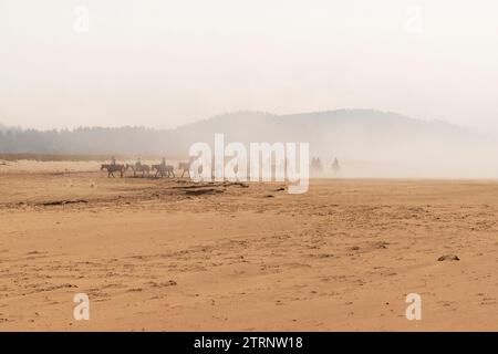 A group of horses and riders walk in the fog along the beach at Long Beach, Washington, USA. Stock Photo
