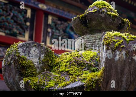 close-up of moss on a stone lantern at a japanese temple Stock Photo