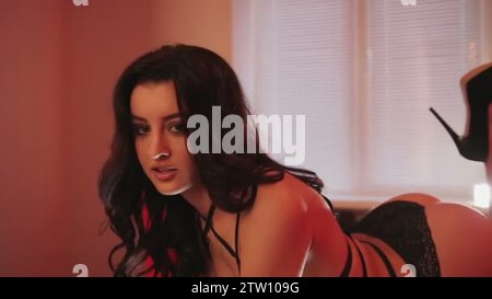 sexy brunette girl in lingerie