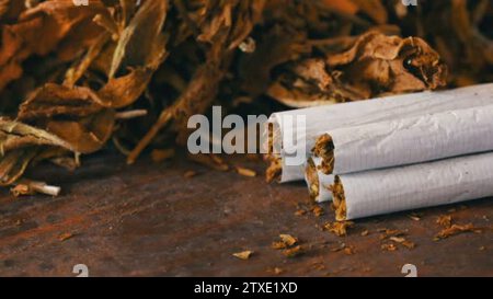 cigarette smokers lungs The Dangers of Smoking – Healthy Savannah