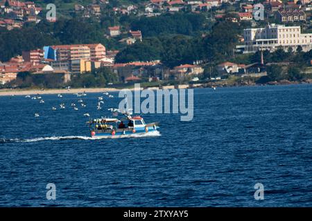 Small fishing boat returns from its task surrounded by seagulls Stock Photo