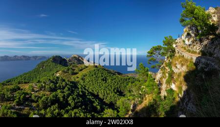 senda del Puig de Sa Talaia, área natural de la Victòria, Alcúdia,  Mallorca, balearic islands, Spain Stock Photo