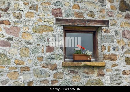 beautiful window with flowers on the background of a stone wall Stock Photo