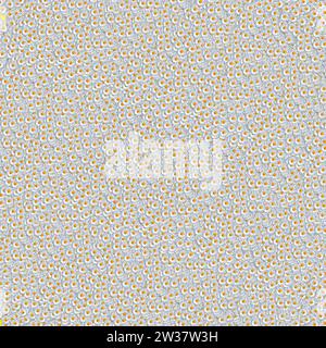 A flower, or flower head, of the meadow daisy (Leucanthemum vulgare) as a white and yellow background, pattern Stock Photo