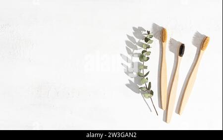 Three eco-friendly bamboo toothbrushes and eucalyptus on white background. Natural organic bathroom product. Flat lay, top view, copy space Stock Photo