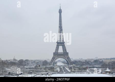 Paris, France - View of the Eiffel tower under snow with in the foreground two seagulls in the snow. Stock Photo