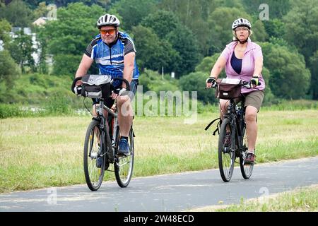 A couple, a man and a woman, are riding a bicycle on a cycle path in a landscape with a mowed meadow Stock Photo