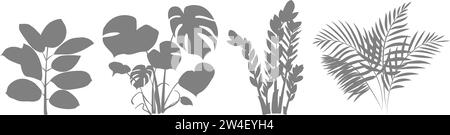 Silhouettes of indoor plants. Zamiokulkas Dollar Tree, Ficus and Monstera plant in pot. Set of icons of indoor flowers for home and office. Vector ill Stock Vector