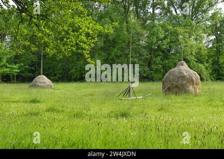 Heuschober, Lübbenau, Brandenburg, Deutschland Stock Photo