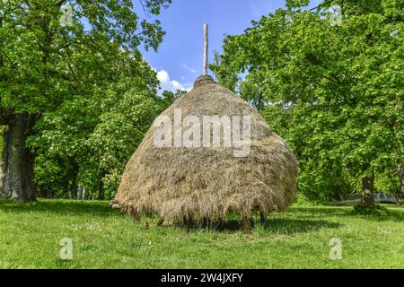 Heuschober, Lübbenau, Brandenburg, Deutschland Stock Photo