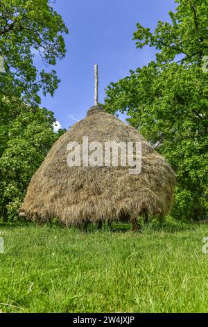 Heuschober, Lübbenau, Brandenburg, Deutschland Stock Photo