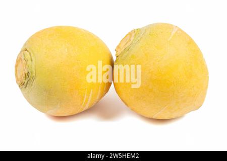 two rutabaga, close-up, isolated on a white background Stock Photo
