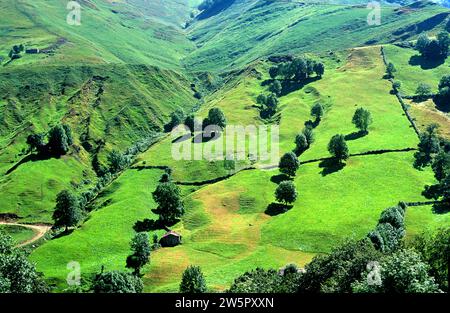 Pas Valley in direction to Puerto de las Estacas de Trueba. Cantabria, Spain. Stock Photo