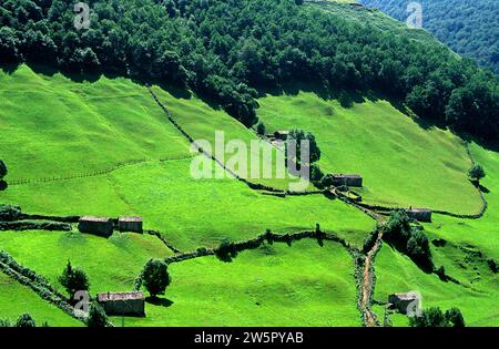 Pas Valley in direction to Puerto de las Estacas de Trueba. Cantabria, Spain. Stock Photo