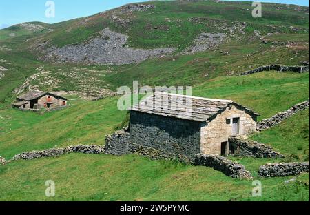 Pas Valley in direction to Puerto de las Estacas de Trueba. Stone cottages. Cantabria, Spain. Stock Photo