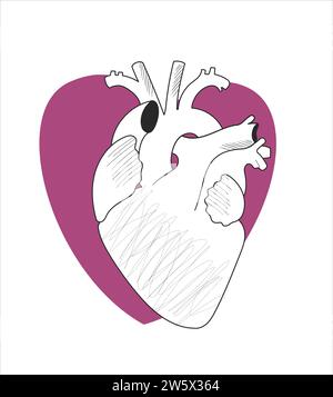Human anatomical heart and heart geometric shape in trendy minimal line style with textures for decoration or logo design. Human anatomy sketch. Stock Vector