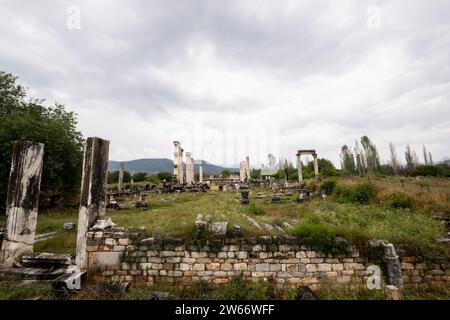 Afrodisias Ancient city. (Aphrodisias). The common name of many ancient cities dedicated to the goddess Aphrodite. The most famous of cities called Ap Stock Photo