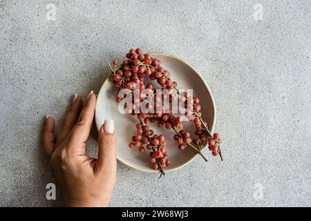 Anonymous holding a ceramic plate with a spray of organic buffaloberries against a textured grey background in natural light in concrete background Stock Photo