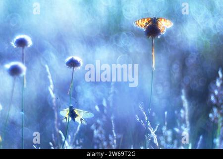 Dragonfly and butterfly flitting amongst wildflowers, shrouded in a soft, celestial blue light Stock Photo