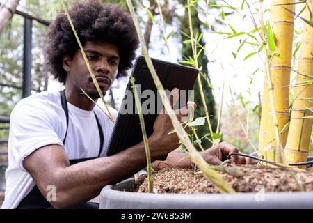 Confident focused young black male botanist with digital tablet analyzing plant in planter at organic greenhouse Stock Photo