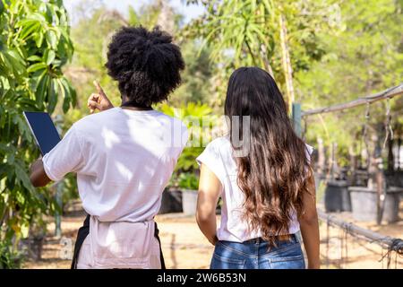 Back view of anonymous young multiracial agronomists pointing and discussing while standing against plants at organic plantation Stock Photo