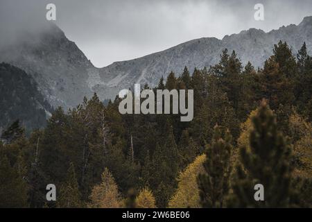 Picturesque view of tall evergreen trees and majestic rocky mountains under sky in Catalonia national park during daytime Stock Photo