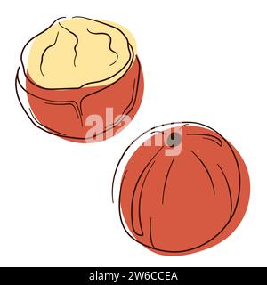 Macadamia icon in line art style. Nut simple flat logo for web design. Vector illustration isolated on a white background. Stock Vector