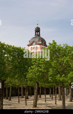 Linden trees planted in a quincunx pattern, Lower orangery, Schloss Weilburg Castle, Weilburg an der Lahn, Hesse, Germany, Europe Stock Photo