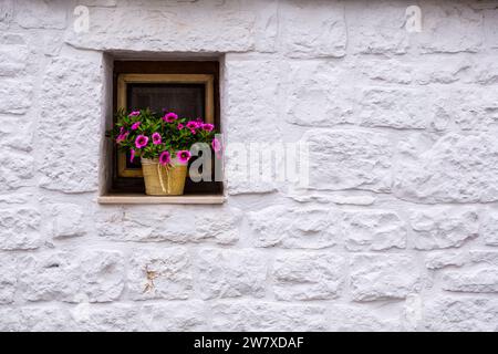 Flowers in the window of a Trullo, one of the traditional cone-shaped stone houses that are part of the Unesco World Heritage Site. Stock Photo