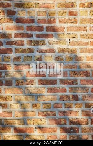 Sunny tan brick wall with tree shadow over light colored bricks and mortar, background asset Stock Photo