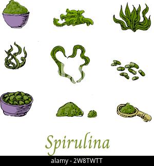 Set of Spirulina Algae Superfood Hand drawn Sketch. Vector illustration isolated. Vector sketch in green color included spirulina powder, tablets, pills, algae, raw product illustration.  Stock Vector