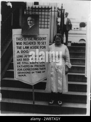 Young women picketing outside White House gates for amnesty for war protesters - sign, with portrait of Harding, reads- ''This is the president who pleaded to set the law aside for a dog. Stock Photo