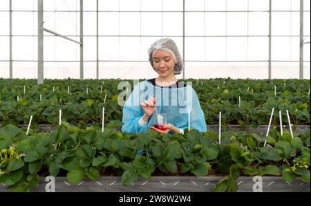 A smiling female fruit researcher is joyfully holding beaker with red chemical in her hands, standing inside a lush, green greenhouse. Stock Photo