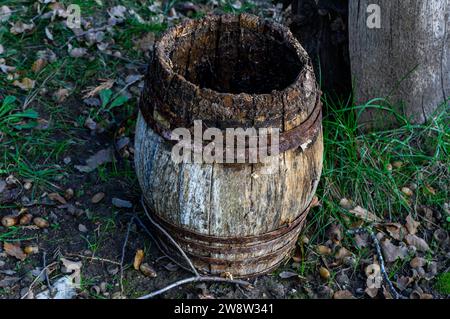 Small barrel, cask, small and old wooden barrel with rusty iron rings on the ground in a winter garden, on the soil and amidst the grass. Old, abandon Stock Photo