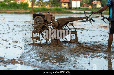 Asian farmer plowing muddy field with hand tractor to prepare the soil for planting in the morning. Stock Photo