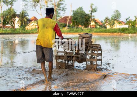 Asian farmer plowing muddy field with hand tractor to prepare the soil for planting in the morning. Stock Photo