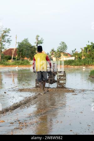 Asian farmer plowing muddy field with hand tractor to prepare the soil for planting in the morning. Stock Photo