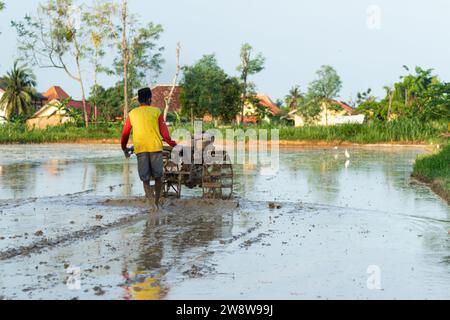 Asian farmer plowing muddy field with hand tractor to prepare the soil for planting in the morning. Stock Photo