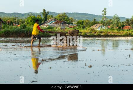 Asian farmer plowing muddy field with hand tractor to prepare the soil for planting in the morning. Stock Photo