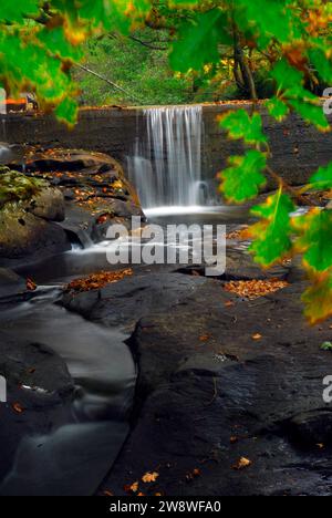 Waterfall and fallen oak leaves Stock Photo - Alamy