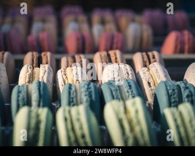 An assortment of colorful macaroons in a display box with selective focus bokeh background Stock Photo