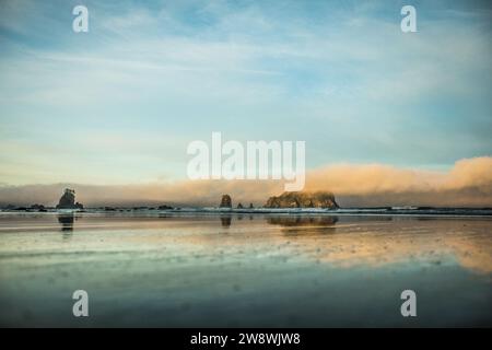 Reflection of sea stack rocks and sea fog in Olympic National Park Stock Photo