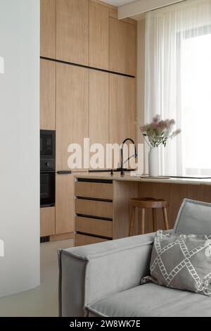 Combined living room and minimalist kitchen area Stock Photo