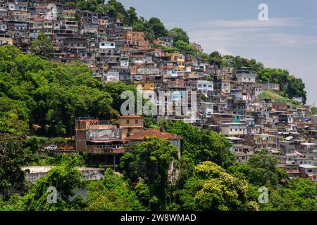 Poor residential housing in favela on rainforest hillside in Rio Stock Photo