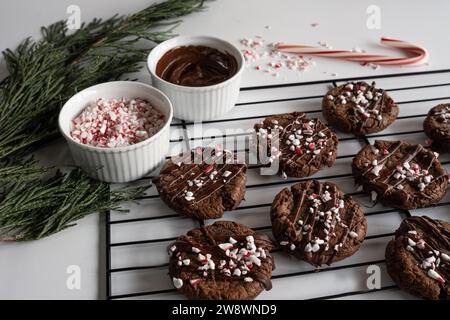 Chocolate cookies with peppermint sprinkles on baking rack. Stock Photo