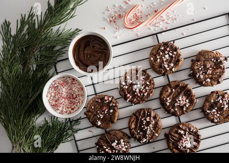 Chocolate cookies with peppermint sprinkles on baking rack. Stock Photo